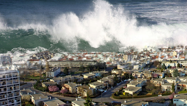 How to Survive in a Tsunami?