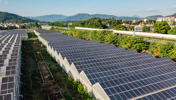 Passive Solar Greenhouses vs. Active Solar Greenhouses: The Ultimate Guide