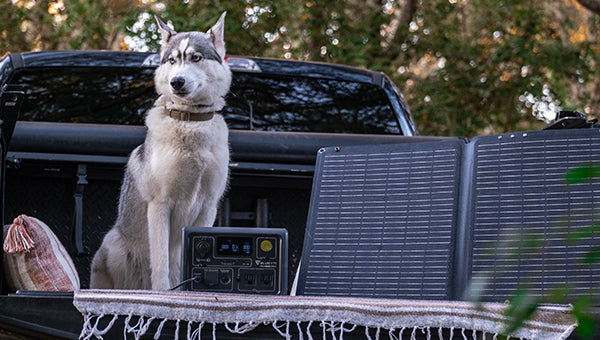 charge your electric vehicle with solar energy
