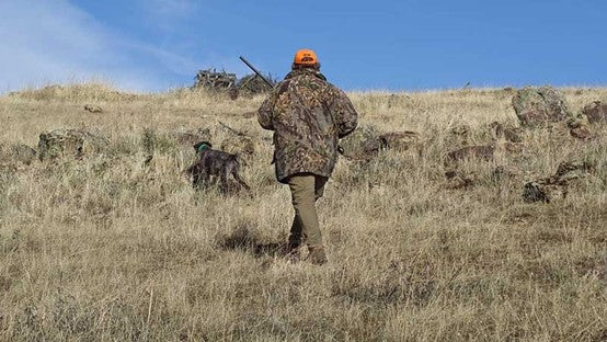 Alberta Canada Hunting Seasons Guide + 2025 Updated Changes