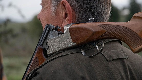 When is Deer Hunting Season in New Brunswick (2025 Guide)