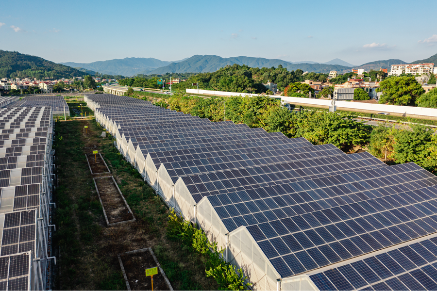 Passive Solar Greenhouses vs. Active Solar Greenhouses: The Ultimate Guide