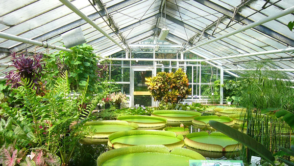 Is There a Solar Heater for a Greenhouse?