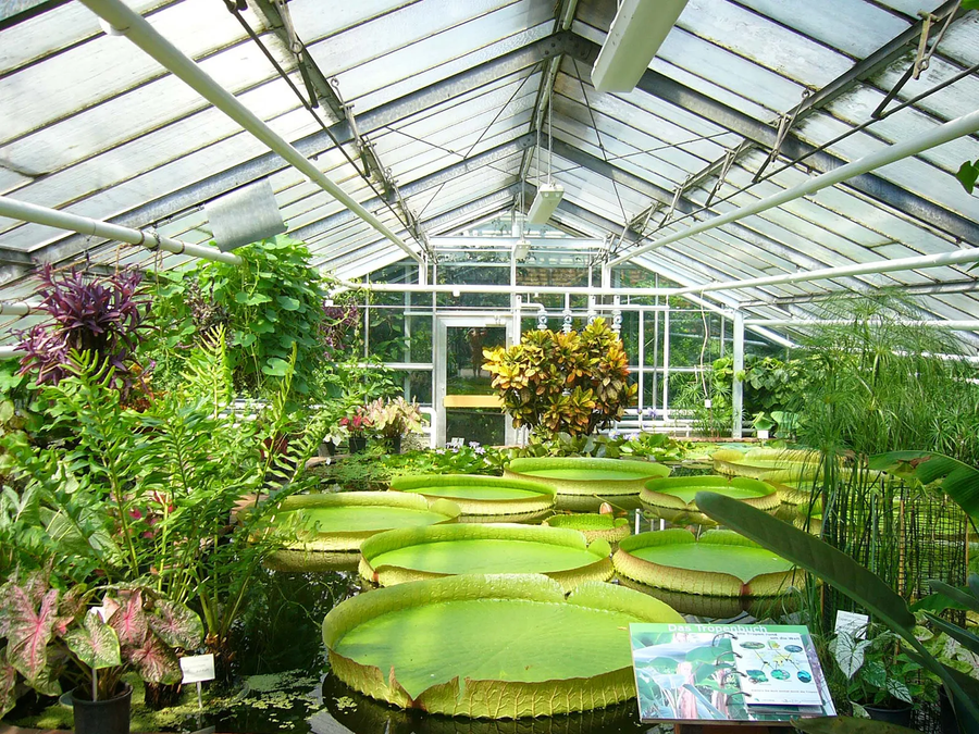 Is There a Solar Heater for a Greenhouse?