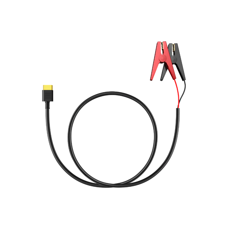 Câble de chargement de batterie au plomb 12 V/24 V.