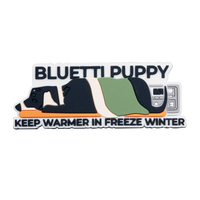 BLUETTI Button Pin and Stickers